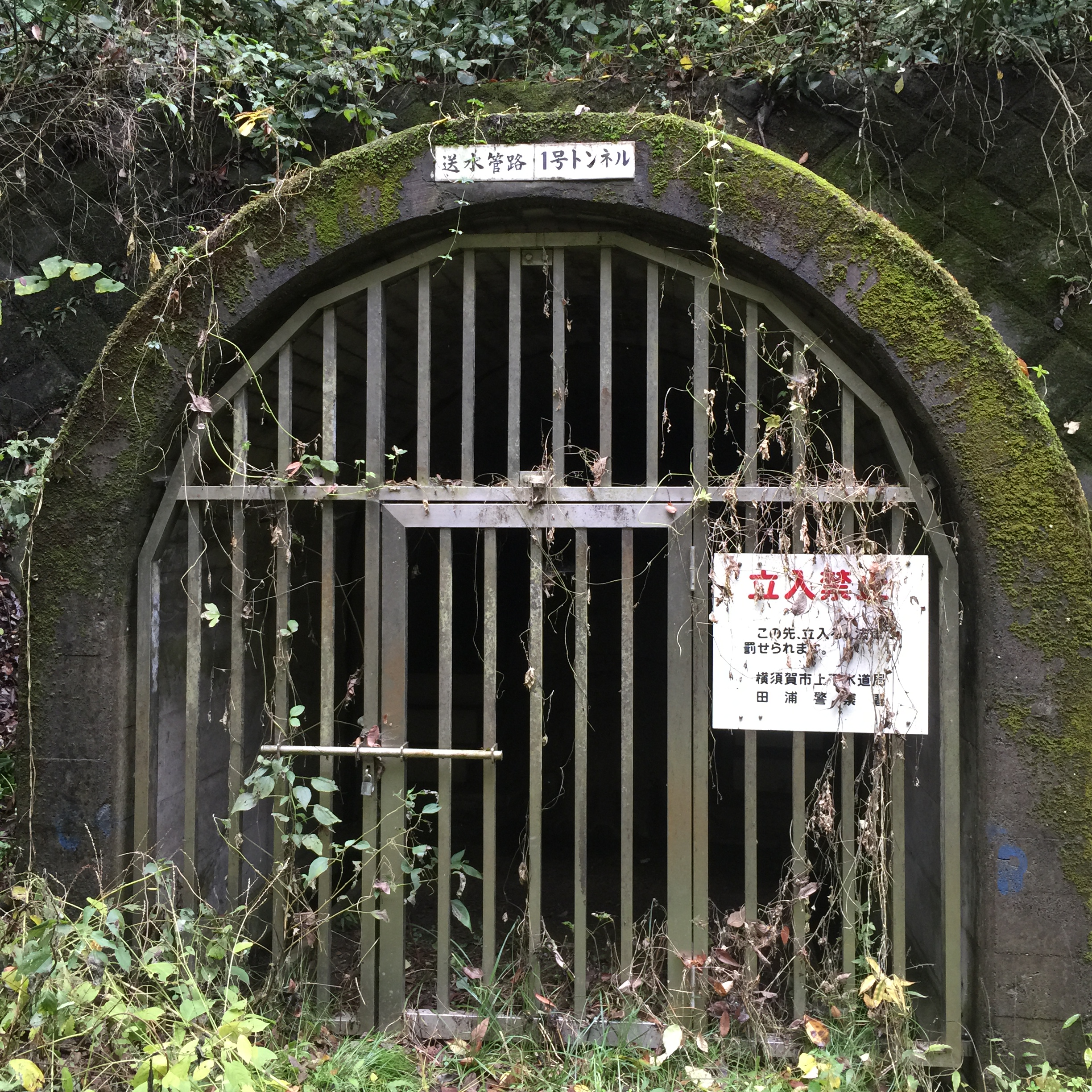横須賀 田浦探索!~送水管路1号トンネル2号トンネル~