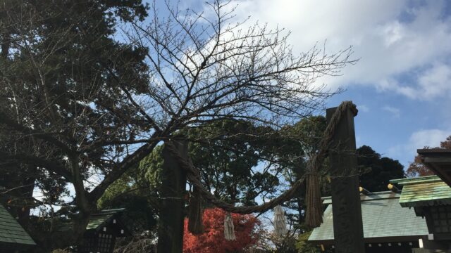 【神社】神奈川県横浜市西区『伊勢山皇大神宮』＜横浜総鎮守＞＜三輪明神＞＜杵築宮子之大神＞