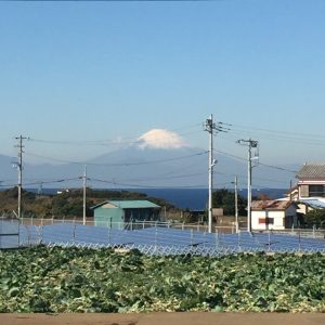 神奈川県三浦の景色。畑の向こうに富士山が見える。