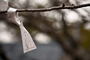 神社に結ばれているおみくじ