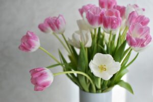 【風水】桃花位とは？干支・本命卦・流年・屋向から出す恋愛運アップの方位とやり方