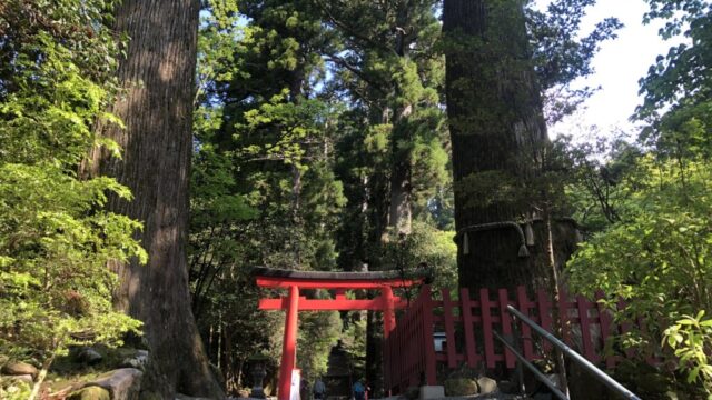 【神社】『箱根神社』関東総鎮守の名社、運開きと厄除けの御神徳を頂けるパワースポット!