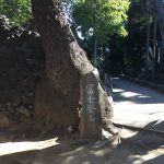 【神社】品川神社境内『品川富士』　江戸の人々は、なぜ人工の富士山を築いたのか