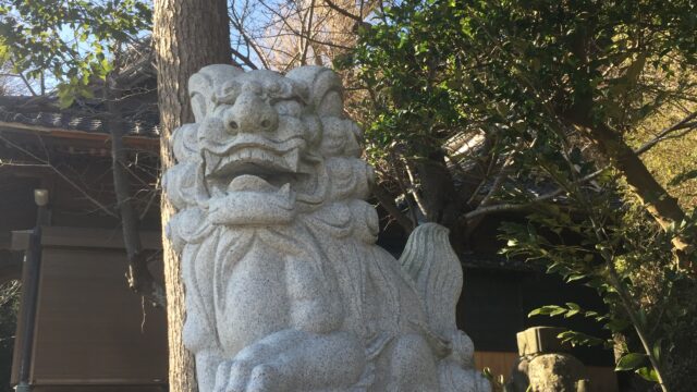 【神社】神奈川県横須賀市野比『白髭神社』<銀杏><稲荷社><龍が見える所>