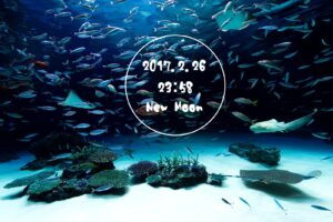 【開運】太陰暦の１日目『朔』に含まれた意味と名前に使うときの印象のこと