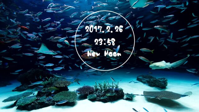 【開運】太陰暦の1日目『朔』に含まれた意味と名前に使うときの印象のこと