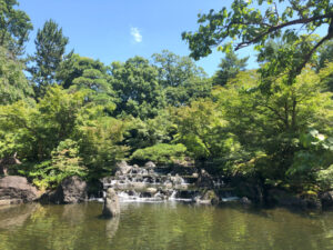 寒川神社神嶽山神苑の大池