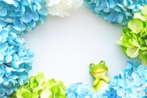 【開運】『カエル』は幸運の象徴？日本とヨーロッパに伝わる縁起物とご利益