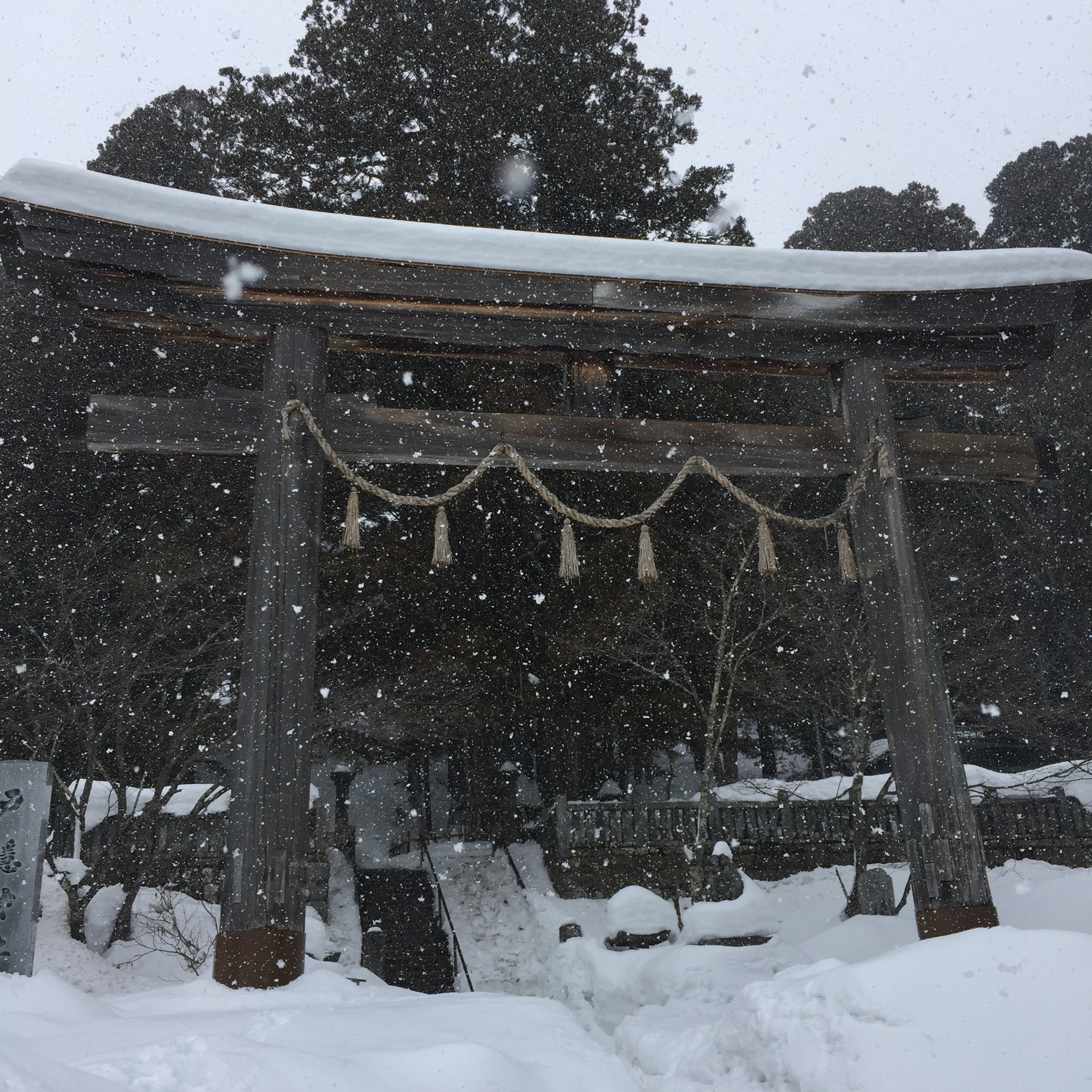 冬の 戸隠神社 は中社まで 奥社は冬季閉鎖中 雪景色も良いですよ ウズラボイス