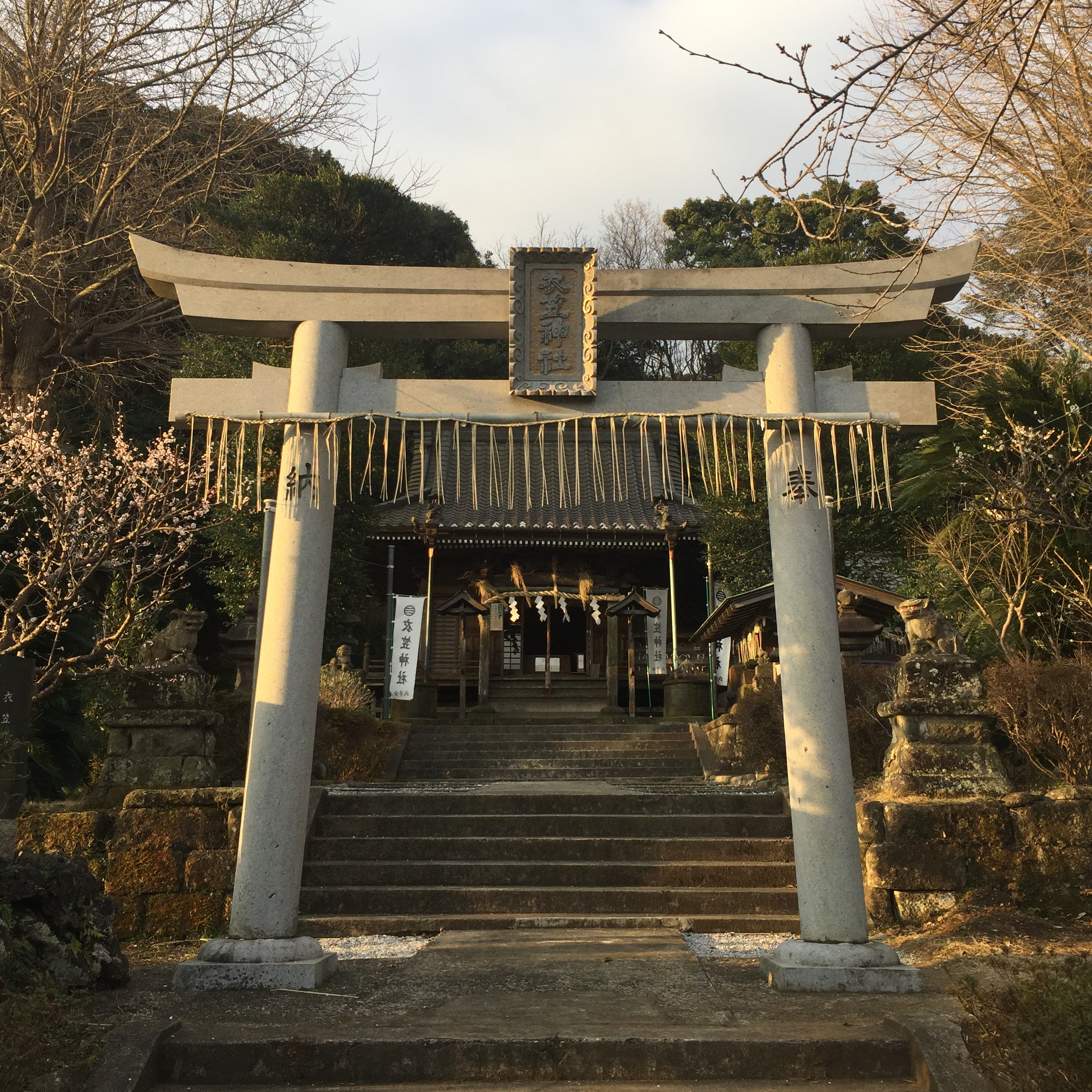 【衣笠神社】がある桜の名所【衣笠山公園】で朝焼けに染まってきました♪