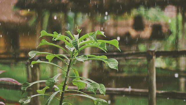 【開運】雨は好きですか?運気を上げる雨の日おすすめのスピリチュアルな過ごし方