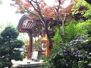 青山熊野神社の本殿｜花の香りを感じた参拝体験