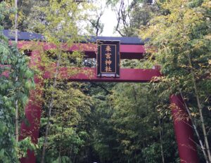 【神社】『来宮神社』の大楠は本州一!オシャレな境内は観光にもおすすめ!