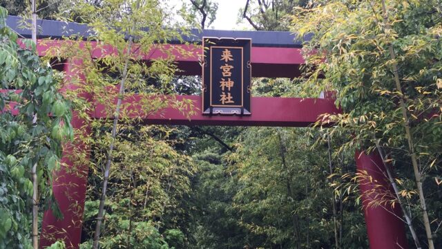 【神社】『来宮神社』の大楠は本州一！オシャレな境内は観光にもおすすめ！