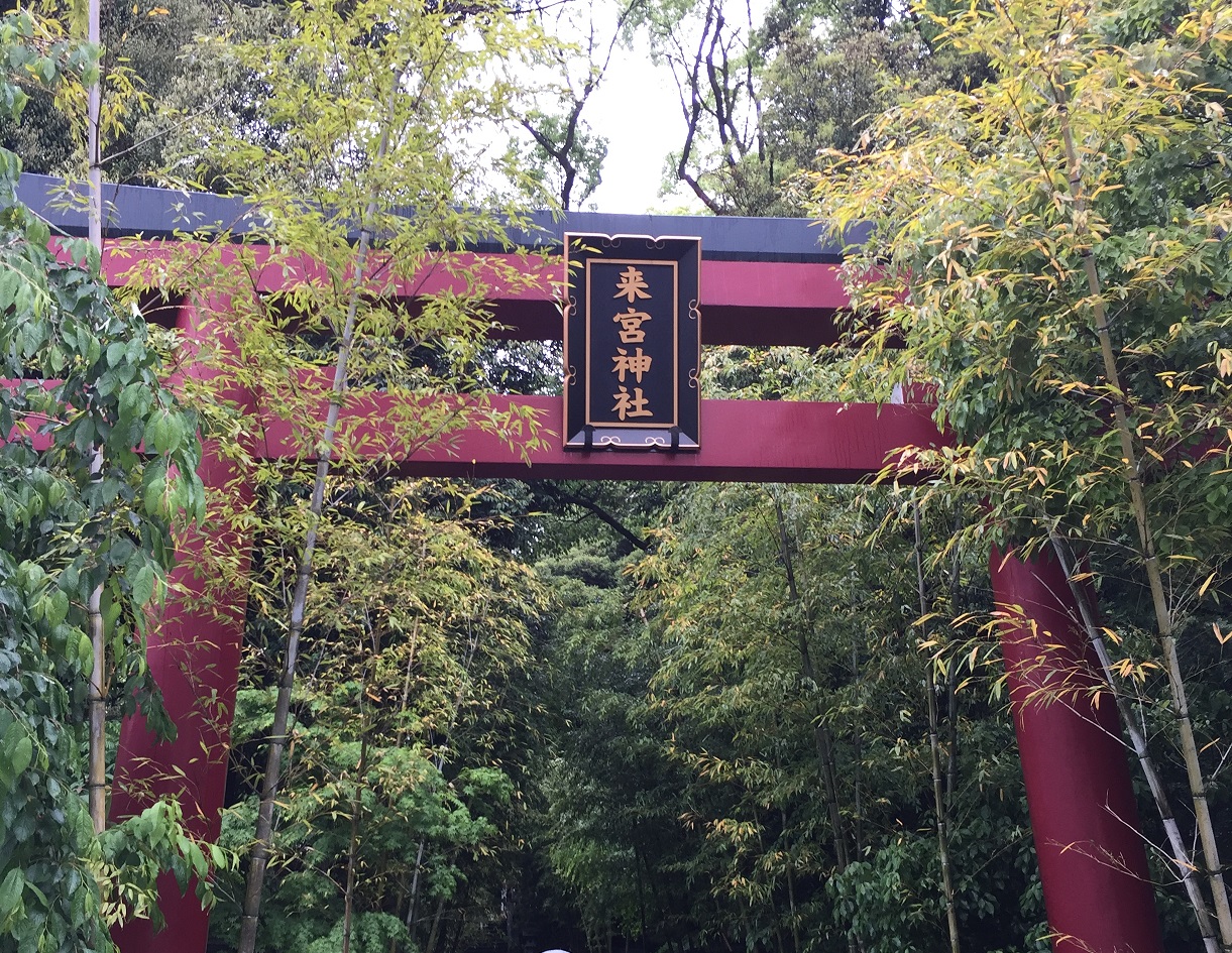 【神社】『来宮神社』の大楠は本州一！オシャレな境内は観光にもおすすめ！