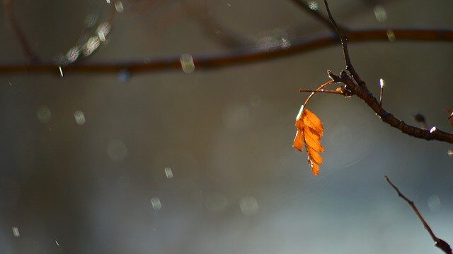 【開運】不思議な現象『お天気雨』のスピリチュアルな意味や「狐の嫁入り」と呼ばれる由来