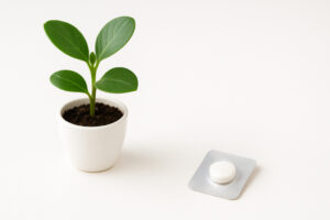 【風水】「風邪をひきにくい家」にする！空気・水場・身体の土台を整えるポイント