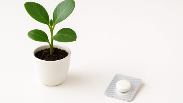 【風水】「風邪をひきにくい家」にする!空気・水場・身体の土台を整えるポイント