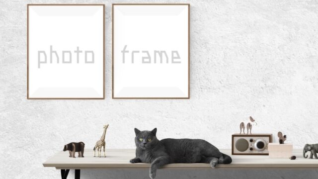 【風水】写真の飾り方と方位別の効果　家族・恋人・友人・自分の写真で開運するまとめ