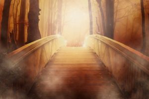 幻想的な、懐かしい神社への参道のイメージ