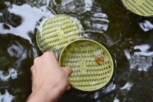 銭洗い弁天でお金洗う