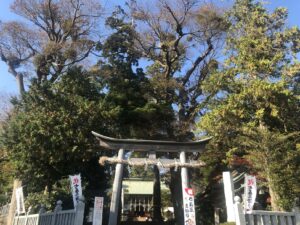 【神社】神奈川県伊勢原市 比々多神社<相模国三之宮><比々多神社元宮><冠大明神>