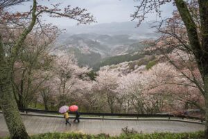 雨は見えない世界で魔よけの槍になる