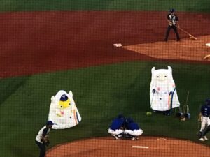 【野球観戦】雨の日開催の野球観戦の持ち物!雨仕様の服装と、いつもと違う持ち物の備忘録