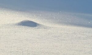 雪が降る