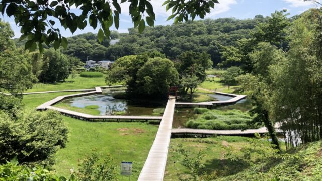 【神社】神奈川県中井町 厳島湿生公園内 『厳島神社』<弁天さん><蛍><カワセミ><歓迎サイン>