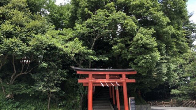 【神社】『丸山稲荷神社』鶴岡八幡宮の境内にある、緑のドームに包まれる隠れたパワースポット！