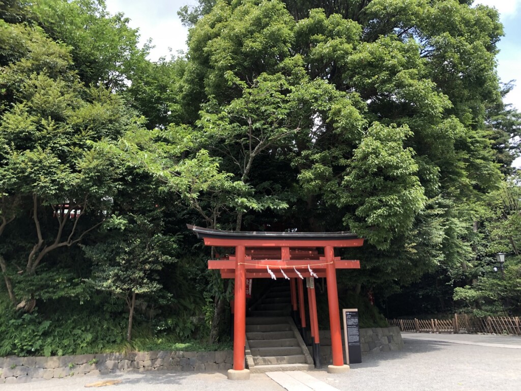 【神社】『丸山稲荷神社』鶴岡八幡宮の境内にある、緑のドームに包まれる隠れたパワースポット！