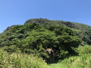 【神社】静岡県賀茂郡南伊豆町『吉田白鳥神社』<日本武尊と弟橘姫命><大ビャクシン>