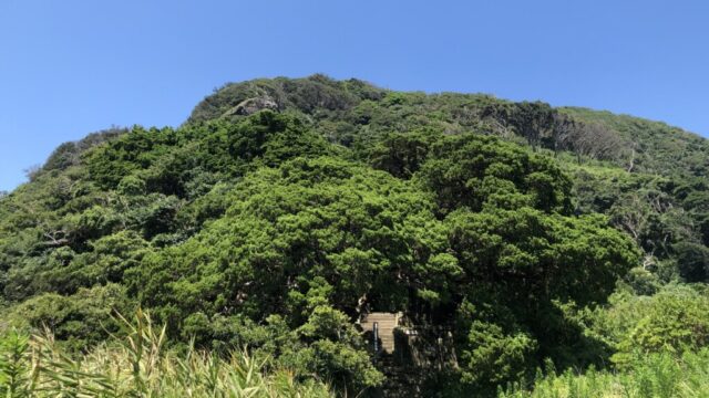 【神社】静岡県賀茂郡南伊豆町『吉田白鳥神社』<日本武尊と弟橘姫命><大ビャクシン>