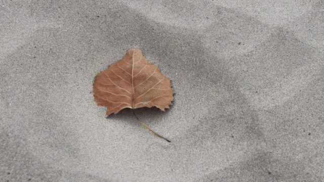 【開運浄化】神社の御神土とは？清め砂の意味と正しい使い方を徹底解説