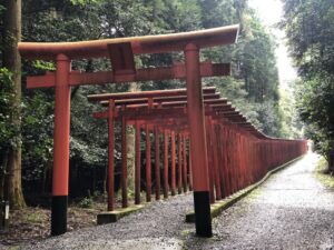 南宮稲荷神社の千本鳥居