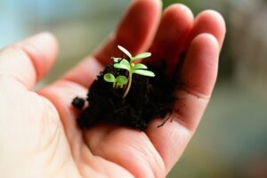 陰から陽への変容、生み育む土の性質