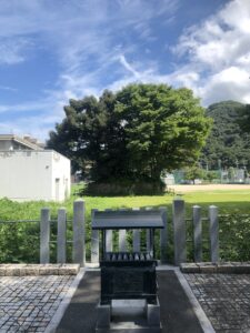 気比神宮の土公