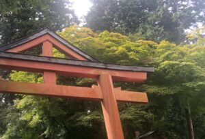 【開運】神社に参拝する時間は何時がおすすめ?夜はスピリチュアル的に参拝しない方がいいの?