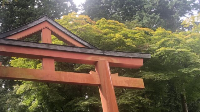 【開運】神社に参拝する時間は何時がおすすめ?夜はスピリチュアル的に参拝しない方がいいの?