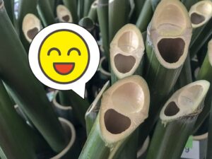 笑う門には福来る