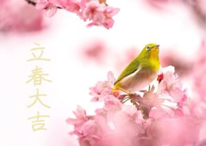 【開運】『立春大吉』！！立春大吉のお札の貼り方や縁起、おすすめの開運アクションについて