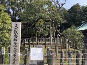三嶋大社の金木犀