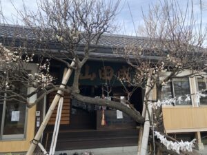 徳寿院 成田不動尊