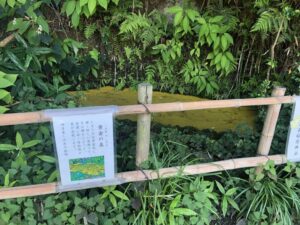 白笹稲荷神社ヒカリモ