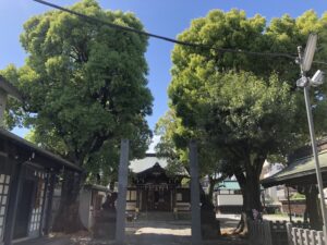 橘樹神社３
