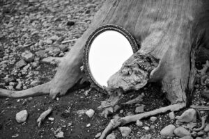 異界に通じそうな木の根元にある鏡のモノクロ写真