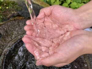 湧き水を手ですくう