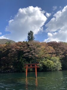 九頭龍神社本宮の水上鳥居とご神木