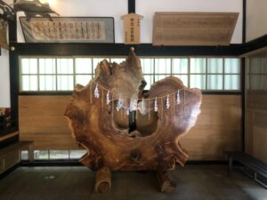 斎神社に奉納された大きな輪切りの一枚板